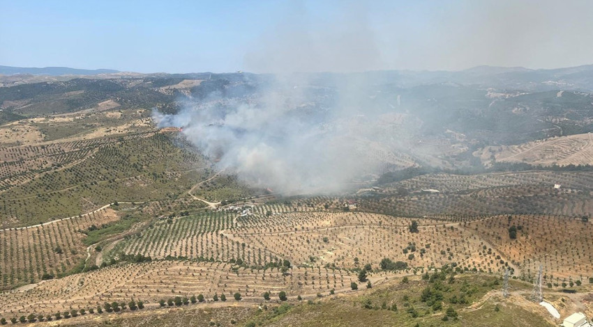 İzmir'de otluk alandaki yangına müdahale ediliyor