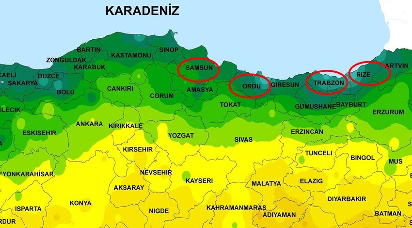 Samsun, Ordu, Trabzon ve Rize'ye perşembe gecesi tarihi şimdi verildi. Acilen hepiniz bakın Ukrayna'dan gelecek