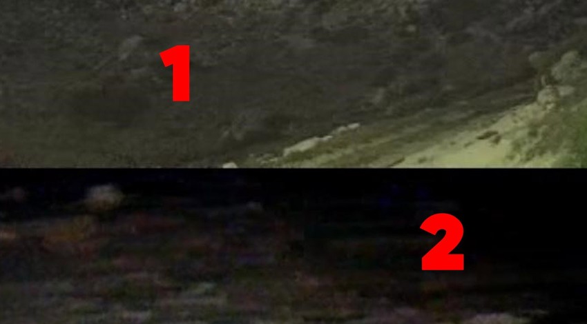 Antalya'da yayla evinin bahçesinde kurulan kameraya takıldılar. Sadece 1'er dakika arayla 2 tanesi kameranın açısına girdi