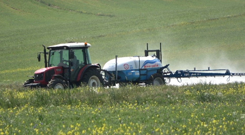 Yozgat'ta tarlaları don felaketinden sonra bir de hardal istilası sardı. Çiftçiler zararı önlemeye çalışıyor