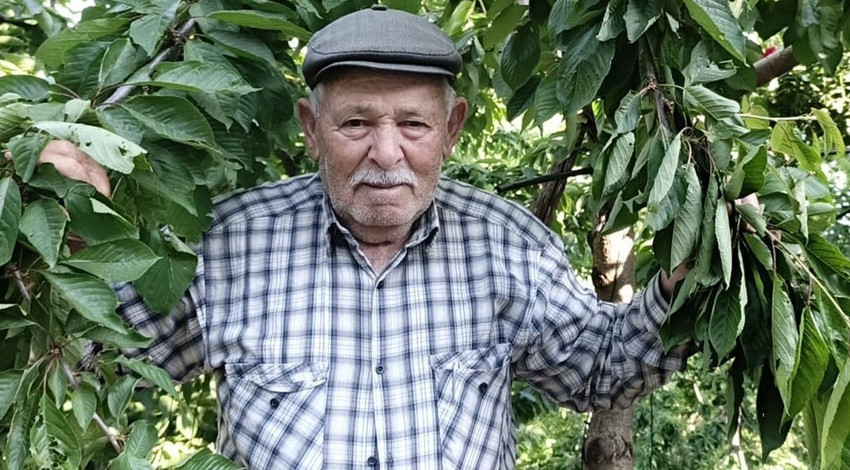Aydın’da 86 yıldan bu yana yaşayan çiftçi, 100'lerce kiraz ağacını kontrol etmeye gittiğinde resmen korkunç manzarayı gördü. Türkiye'ye kötü haberi verdi