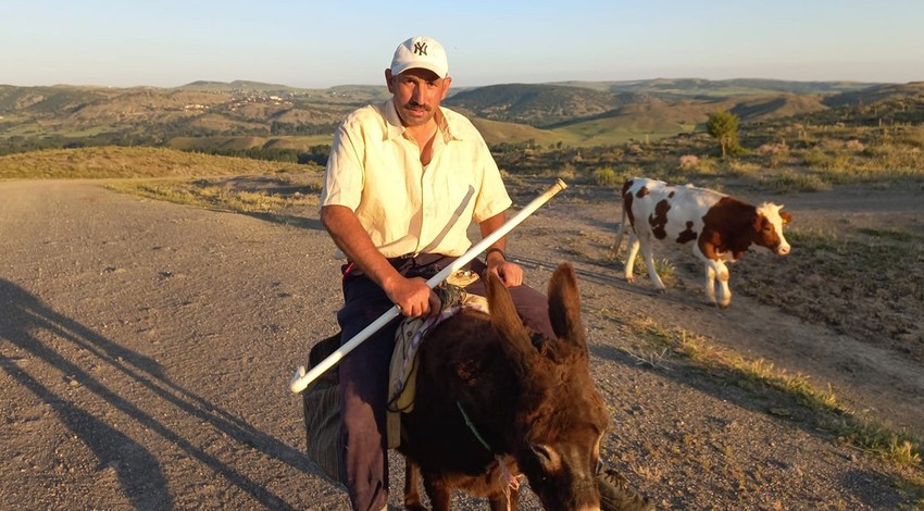 Yozgat'ta  100'lerceden oluşan inek sürüsünü otlatan çoban, Sorgun'dan Türkiye'ye korkunç haberi resmen verdi. 75 köyde de durum aynı