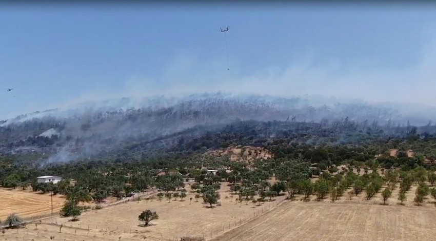 İzmir'de ormanlık alanda korkutan yangın!