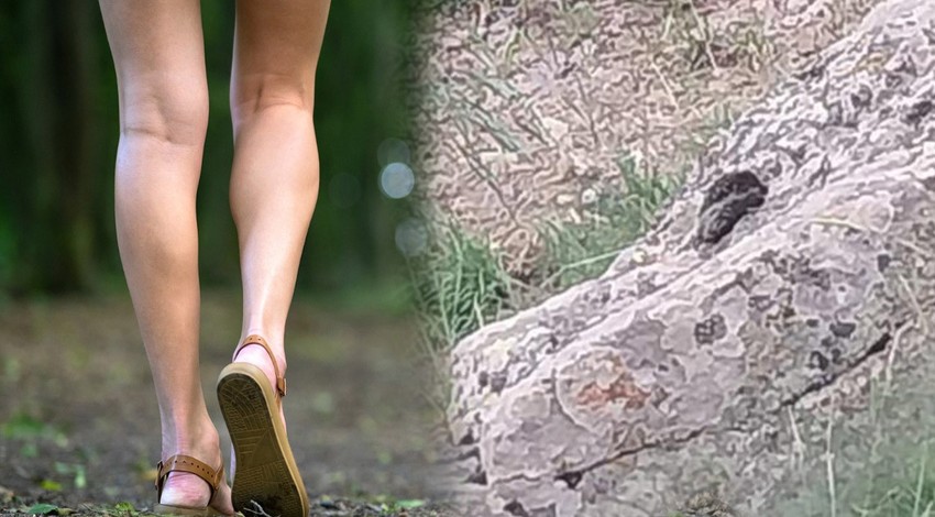 Afyonkarahisar'da doğada çalılıkların arasında 3 metre ile birden çıktı. Vatandaşlar daha bir kısmını görünce o beter hayvanı tanıdı