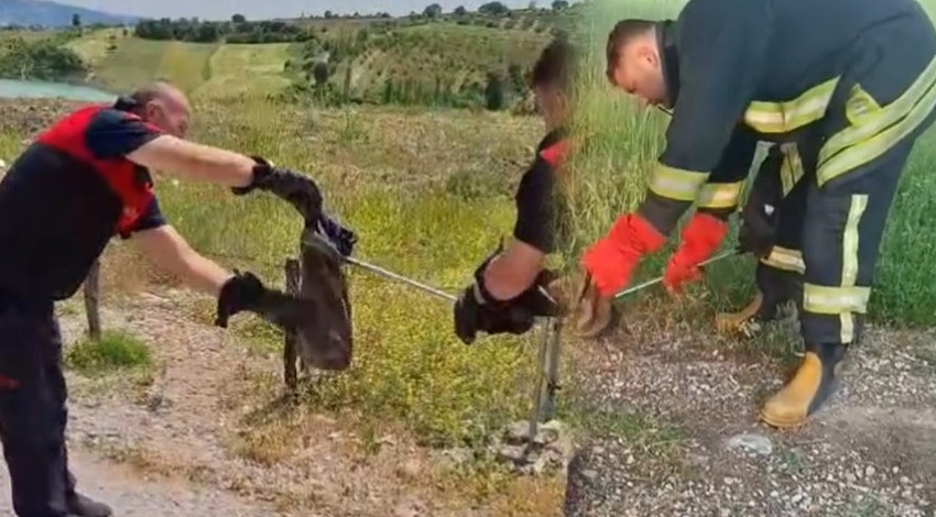 Kütahya’da doğada 2'si bir yerden teker teker fırlamaya başladı. Ekipler 2'sinden gelen ihbara acilen gidiyor