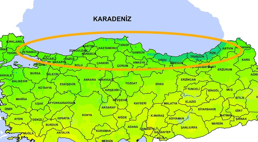 Amasya, Artvin, Bolu, Giresun, Gümüşhane, Kastamonu, Ordu, Rize, Samsun, Sinop, Tokat, Trabzon, Zonguldak'a Ukrayna'dan 20'sinde geliyor