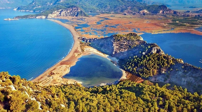 Muğla iztuzu sahilinde caretta caretta yuvalama sayısı 300’e ulaştı