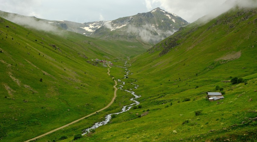 Gümüşhane’nin Dulağa Yaylası baharda açan çiçekleri ve karlı zirveleriyle büyülüyor
