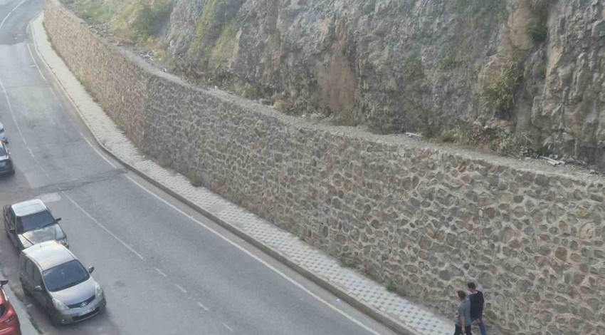 Gümüşhane’de mahalle arasında aniden belirdiler! 3’ü birden ortaya çıktı, herkes telefonuna sarıldı