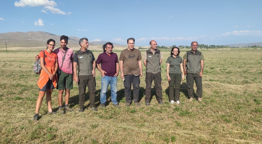 Van'da nesli tehlike altında olan yaralı hayvan tedavi edilip doğaya tekrar bırakıldı