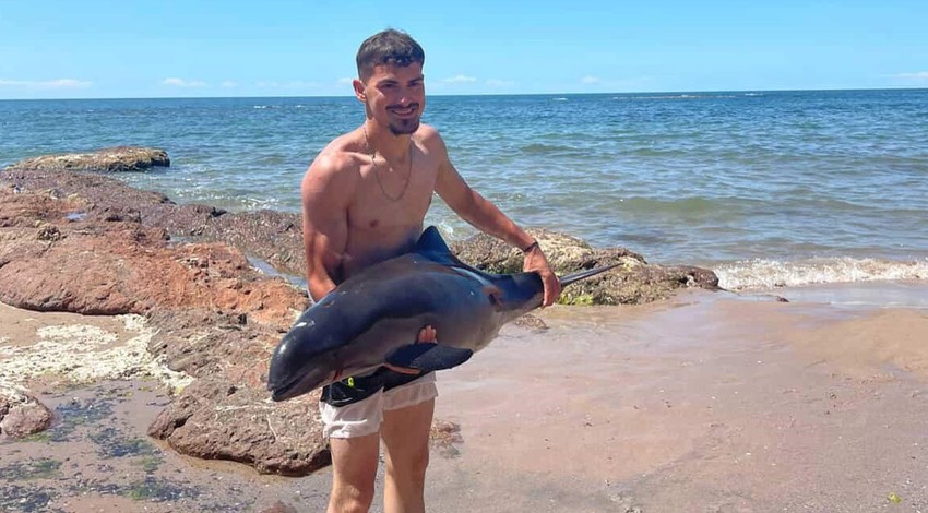 Bartın Amasra Bozköy plajında yaralı yunus sahile vurdu, vatandaşlar tarafından yeniden denize salındı