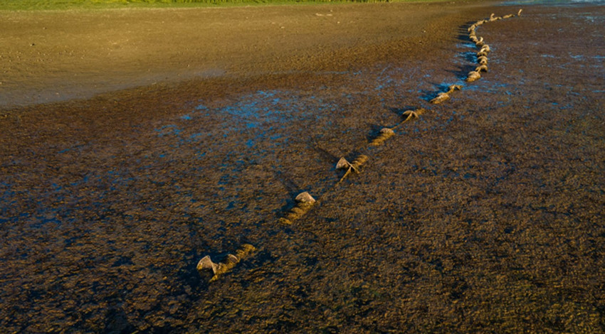 Konya’daki Çavuşçu Gölü’nde su seviyesi alarm veriyor. Kuraklık ekosistemi tehdit ediyor