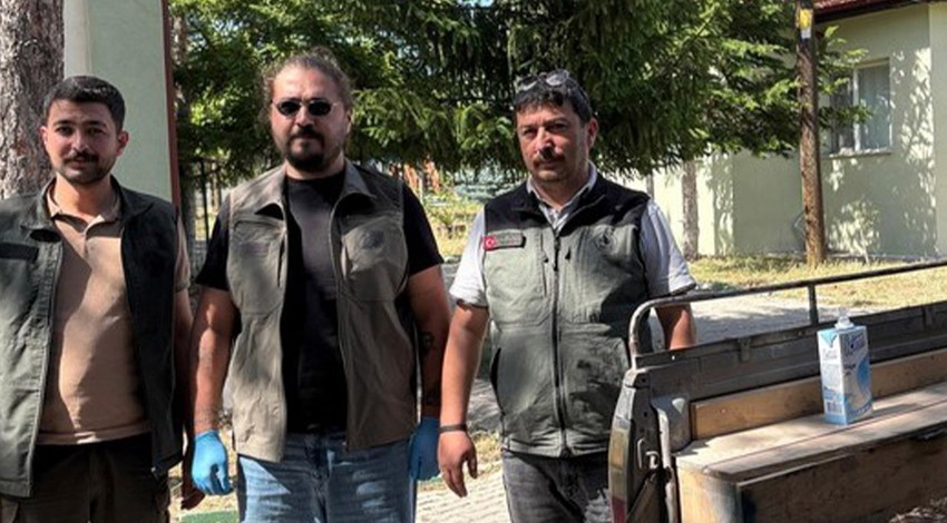 Bolu'da ormanlık alanın içerisinde ekipler 1 tanesini fark etti. 1 tane hayvana doğru bakan ekipler gördükleriyle detayla resmen Türkiye'ye felaket haberi verdi