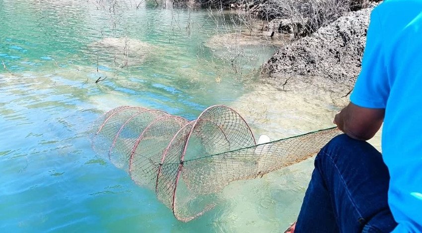Aydın Bozdoğan’da kontrolsüz bırakılan hayalet ağlar sudan çıkarıldı