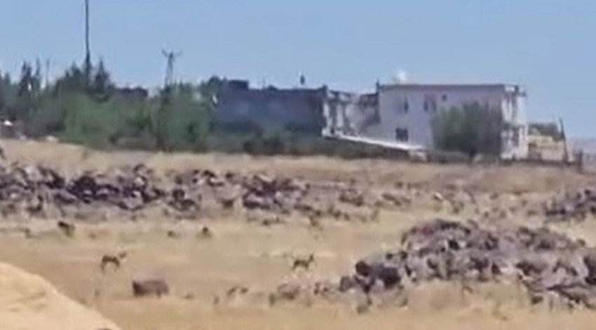 Şanlıurfa'da 2 tanesi kırsal kesimde birlikte ortaya çıktı. Vatandaşlar onları görür görmez hemen kayda aldı