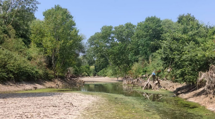 Çanakkale'deki Kocabaş Çayı’nda kuraklık nedeniyle balık ölümleri yaşandı