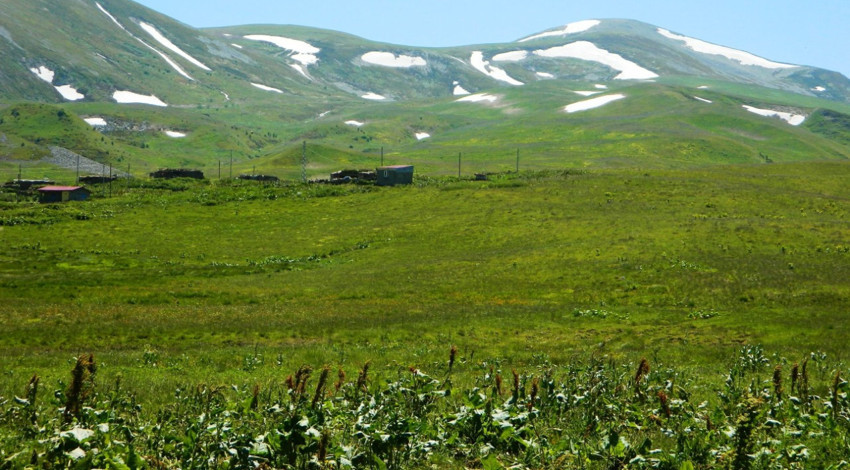Ardahan Posof’ta yayla yolculuğu başladı, göç yayla yoğunluğunu azalttı