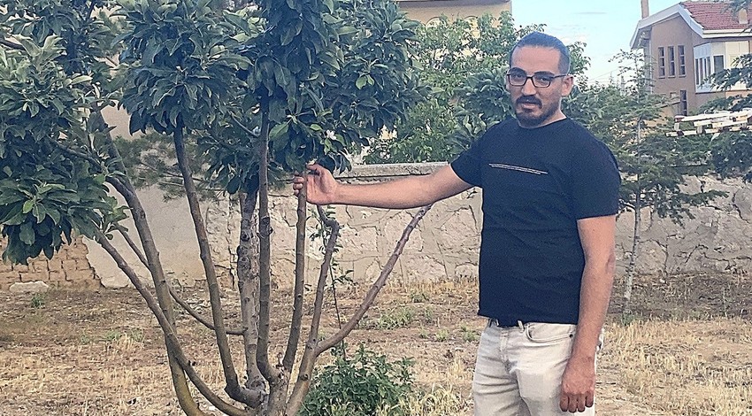Konya'da 200'lerce ağacının içerisinden 1 tanesini gören vatandaş, ağacın üzerindeki detayı fark edince dondu kaldı. Sadece 1 tanesi öyleydi