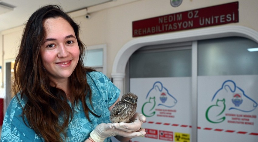 Yalova’da doğada yalnız bulunan yavru baykuş şırıngayla beslenerek hayata tutunuyor