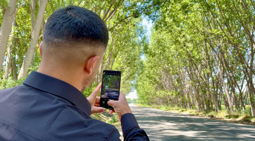 Tokat Bağlarbaşı köyü girişindeki ağaç tüneli görenleri hayran bırakıyor