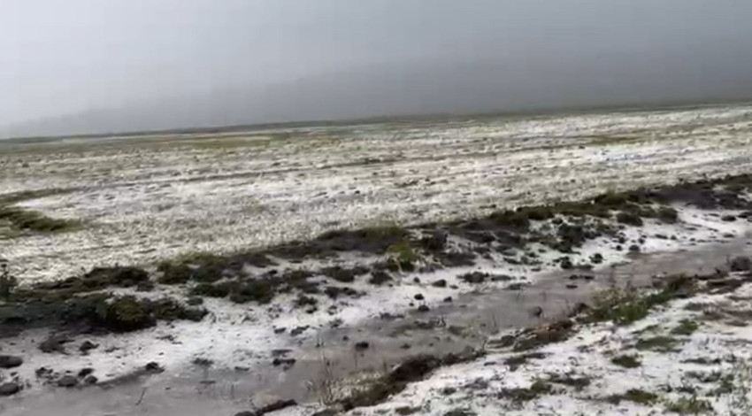Ardahan’da şiddetli dolu ekili arazilere zarar verdi, tarlalar beyaza büründü