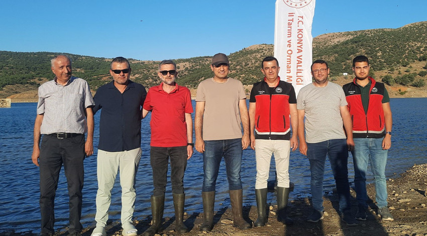 Konya'da doğadan güzel haber verildi. 227 bin 500 tanesi hep birlikte Konya'ya bırakıldı