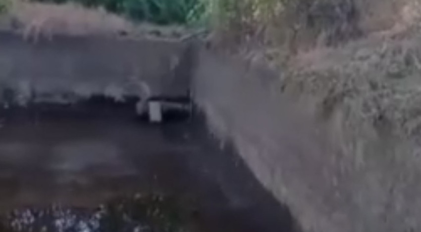 Elazığ’da doğada bir tanesini dahi görmek zorken bir ana sulama kanalının orda orta çıktı