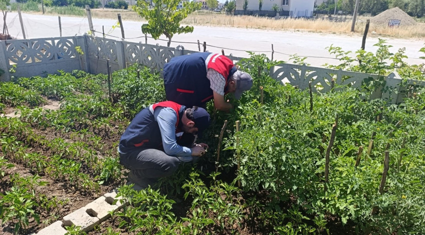 Afyonkarahisar’da çiftçilere tarımsal üretim süreçleri için yerinde teknik destek sağlanıyor