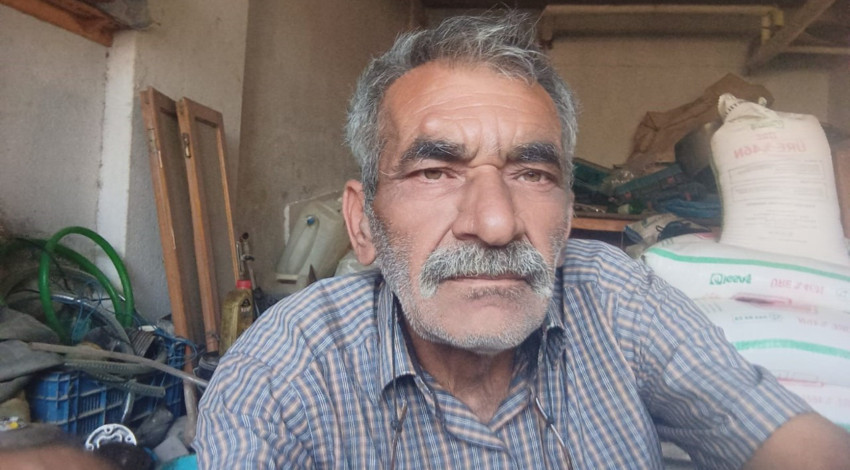 Denizli’de üzüm bağına giren hayvan sürüsü kameraya yakalandı