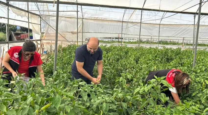 Edremit’te biber ürünlerinde pestisit denetimi yapıldı: Numuneler laboratuvara gönderildi