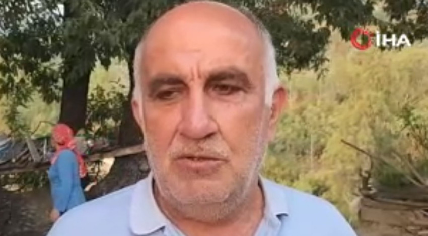 Osmaniye’de bir ağacın dallarında beliren sır. Herkes aynı kelimeyi gördü