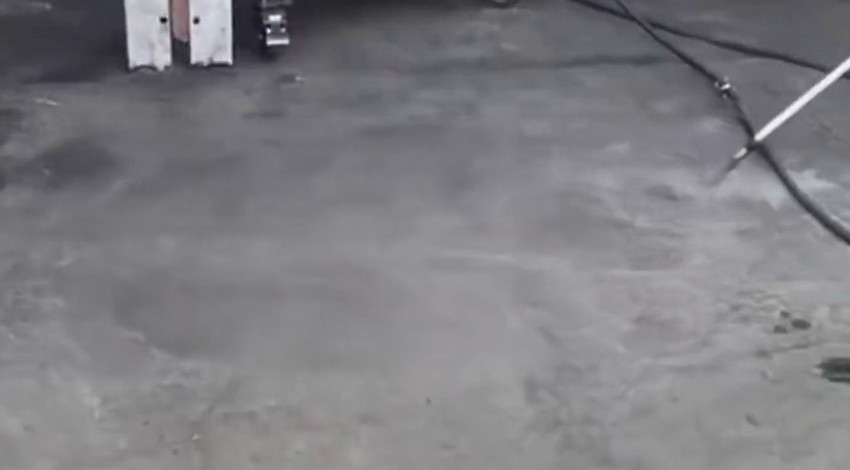 Tamirhaneye giren sürüngen herkesi dışarı kaçırdı! O anlar paniğe neden oldu