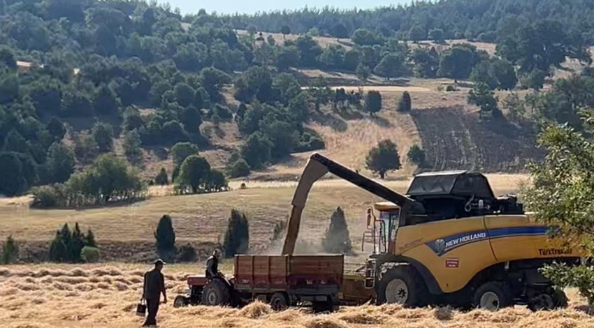 Kütahya’da biçerdöverler tarlaya indi, Göbel köyünde sıcak havaya rağmen hasat tüm hızıyla sürüyor