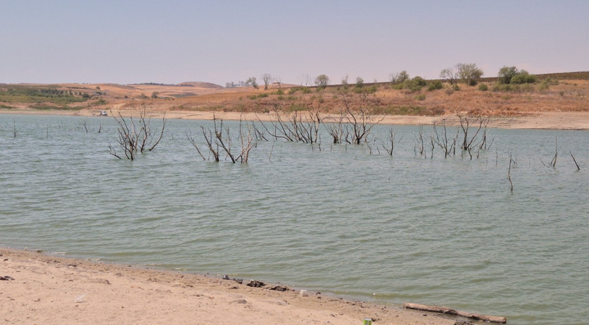 Tekirdağ’da gölet kurudu, zemin göründü, ağaçlar gün yüzüne çıktı