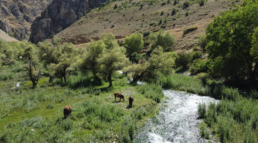 Erzincan’da Munzur Dağı eteklerindeki 9 kaynak, doğaseverlerin yeni rotası oldu