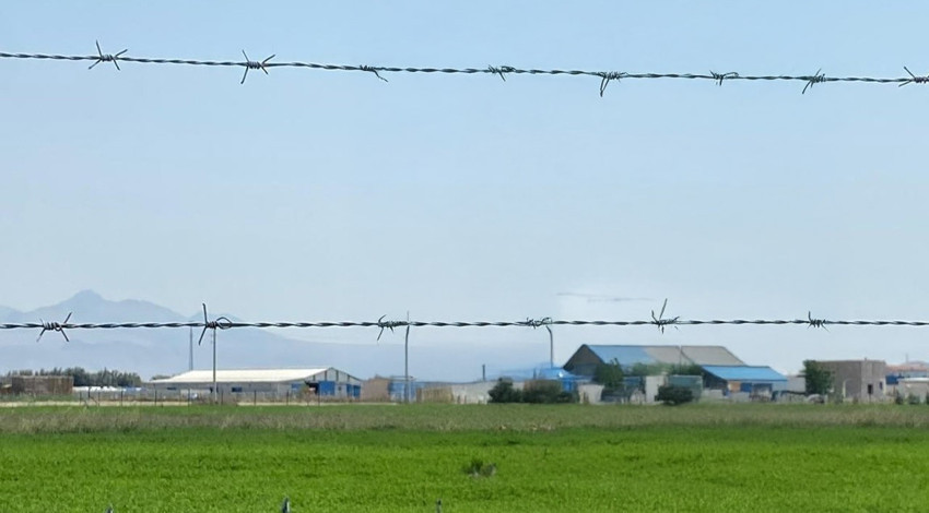 Çırpınarak kurtulmaya çalıştı. Onunla göz göze gelince sessiz çığlığı duyuldu