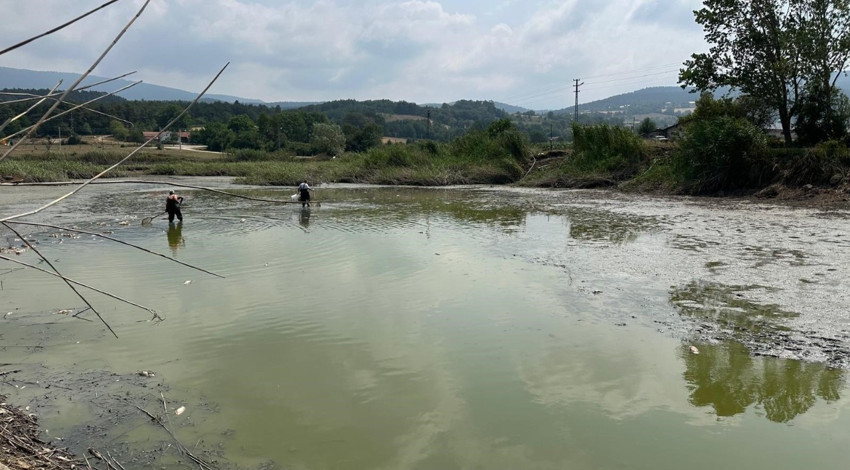Bolu’da kuruma noktasına gelen göletteki balıklar çamurdan kurtarıldı, beton havuzlara taşındı