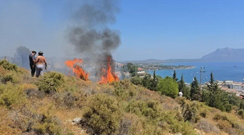 Datça'da makilik yangını