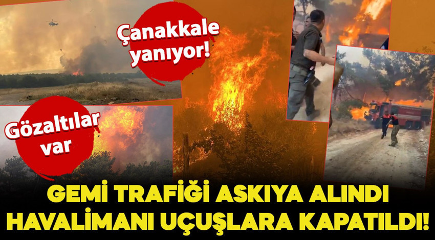 Çanakkale'de orman yangını! Çanakkale Boğazı'nda gemi trafiği askıya alındı, havalimanı uçuşlara kapatıldı! Gözaltılar var