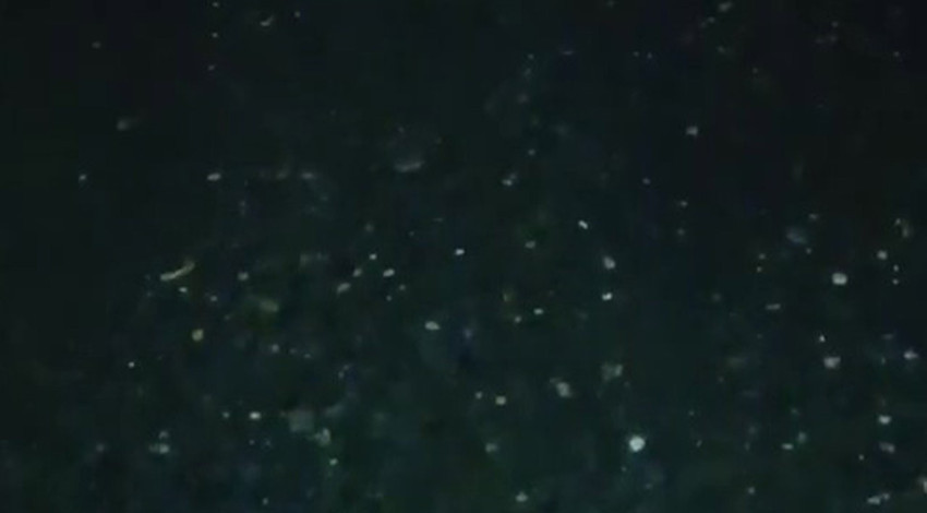 Hatay sahilinde karanlıkta belirdi, sabah ortaya çıktı