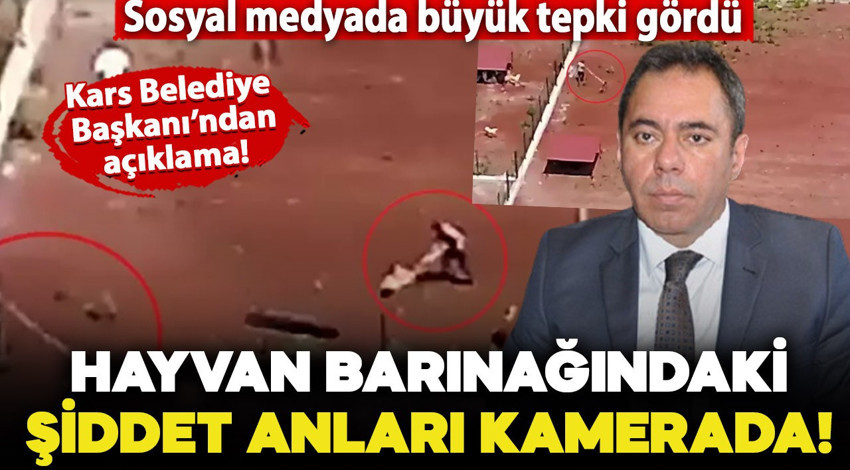 Hayvan barınağındaki şiddet dron kamerasıyla kaydedildi: O anlar büyük tepki topladı!
