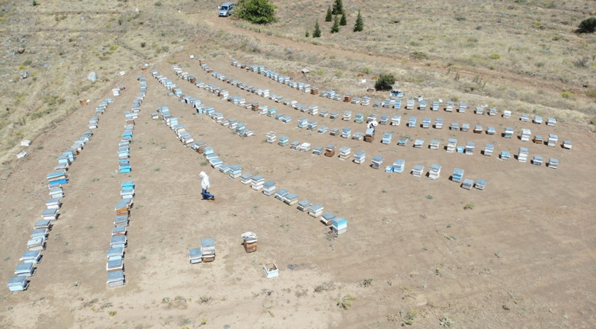 Erzincan yaylalarında arıcıların zorlu mesaisi başladı, sezonun ilk balları süzülüyor