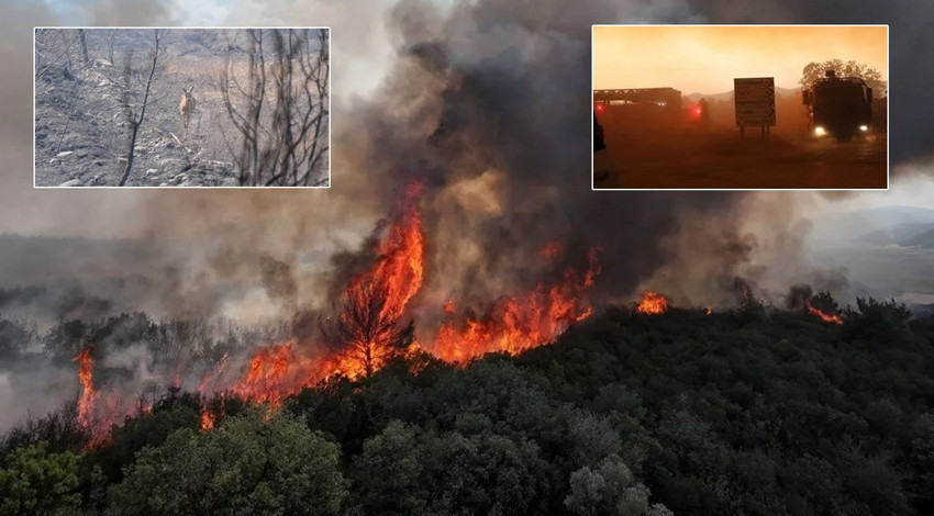 Çanakkale'de alevler saatler sonra kontrol altında