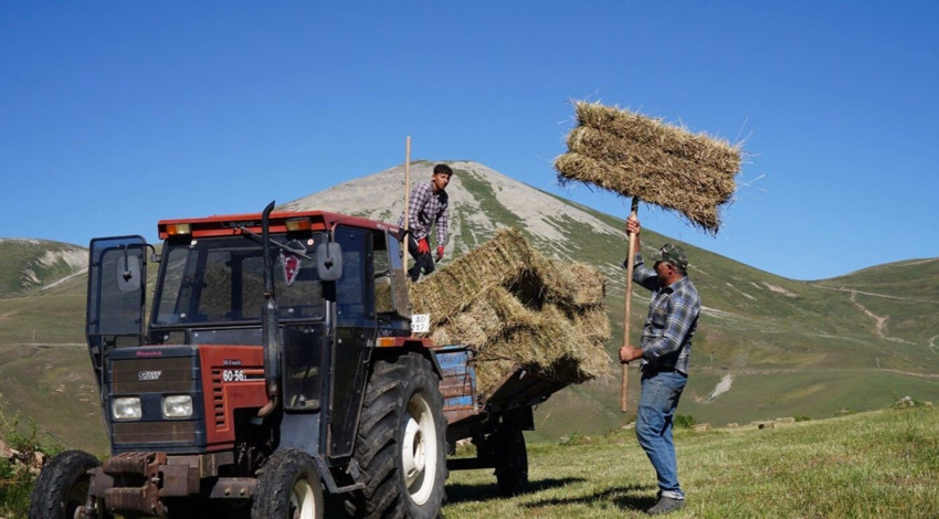 Ardahan’da asırlardır kullanılan aletle zorlu mera mesaisi başladı
