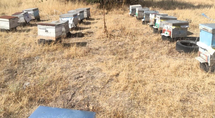 Kırklareli'nde arılı kovan tespit çalışmaları sürüyor