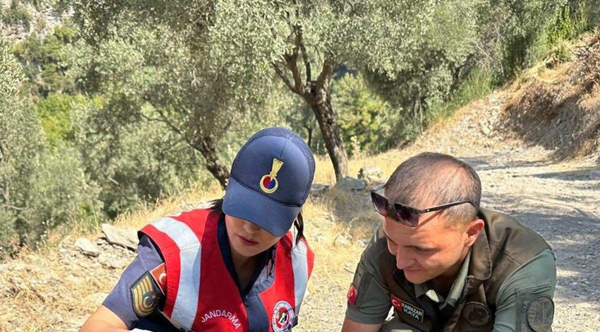 Aydın’da 46 canlı aynı anda doğayla buluştu, farklı yönlere dağıldılar