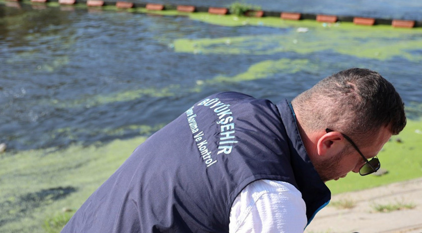 Kocaeli’de dere temizliği sırasında güçsüz halde fark edildi, Ormanya’ya götürüldü