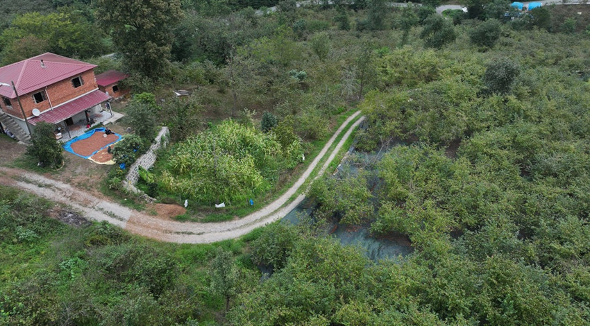 Trabzon’da üreticiler file örtü sistemiyle işçilik maliyetini düşürdü, fındıkta verim katlandı