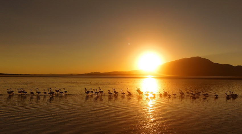 Bitlis’te gün batımında büyüleyen manzara! Hafızalara kazınacak eşsiz görüntülerin keyfini çıkardılar