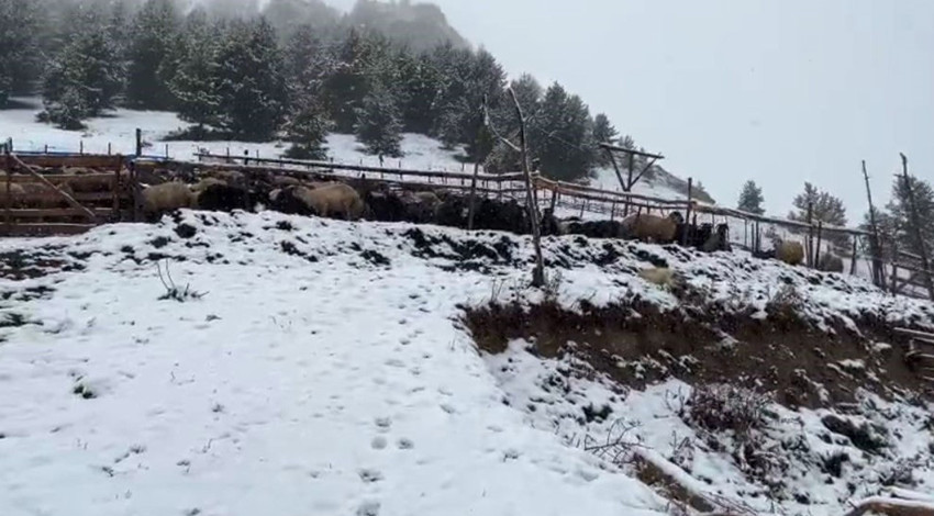 Karadeniz’de kış havası etkisini gösterdi! Artvin’in 1850 rakımlı yaylası beyaza büründü